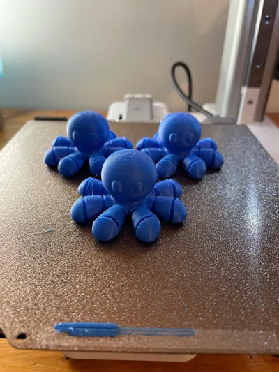 https://makerworld.bblmw.com/makerworld/model/1613763/1709262/ratings/f28d01a0-6e7d-11f0-8efc-6d993914f14c.jpg