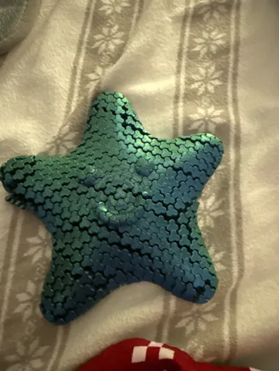 https://makerworld.bblmw.com/makerworld/model/1615537/1704755/ratings/5b3c1810-ed10-11f0-9292-091932c8c587.jpg
