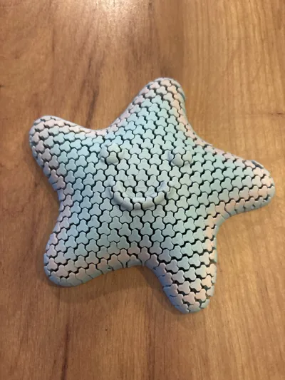 https://makerworld.bblmw.com/makerworld/model/1615537/1704755/ratings/73225100-b026-11f0-904f-0b9634b29e2d.jpg