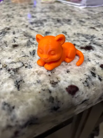https://makerworld.bblmw.com/makerworld/model/1615619/1704865/ratings/113050b0-b9df-11f0-95d3-e59ead311a05.jpg