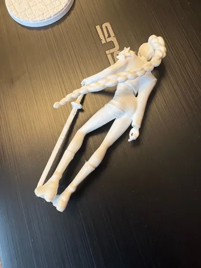 https://makerworld.bblmw.com/makerworld/model/1616383/1705715/ratings/7262c200-a1b6-11f0-95d8-d766505c16e5.jpg