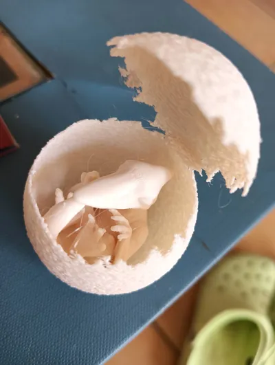 https://makerworld.bblmw.com/makerworld/model/1616454/1755060/ratings/36489370-7543-11f0-ba23-53bca0f0f5af.jpg