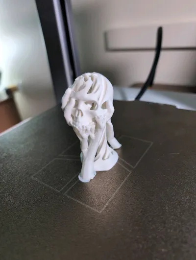 https://makerworld.bblmw.com/makerworld/model/1617083/1706503/ratings/068df160-a785-11f0-801d-fdbedf06dfae.jpg