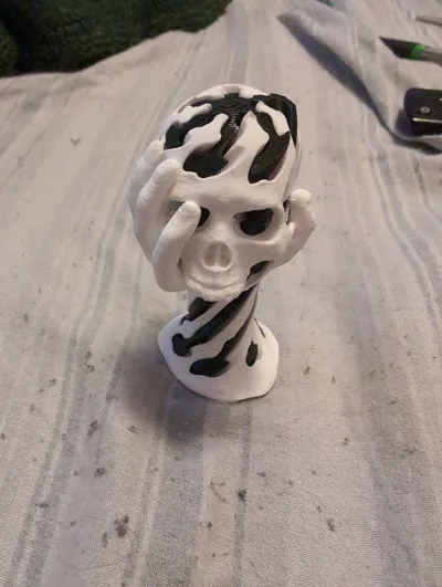 https://makerworld.bblmw.com/makerworld/model/1617083/1706503/ratings/aad0e2b0-e8bb-11f0-b762-730c9c524341.jpg