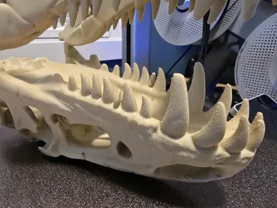 https://makerworld.bblmw.com/makerworld/model/1617784/1707344/ratings/7c9c1040-e1b8-11f0-a5be-dd01a2a37992.jpg