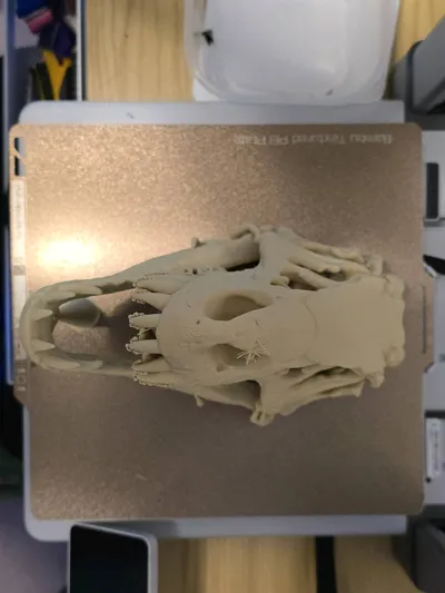 https://makerworld.bblmw.com/makerworld/model/1617784/1707344/ratings/7c9fb9c0-e1b8-11f0-a5be-dd01a2a37992.jpg