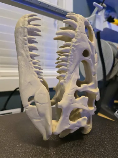 https://makerworld.bblmw.com/makerworld/model/1617784/1707344/ratings/7ca84540-e1b8-11f0-a5be-dd01a2a37992.jpg