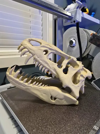 https://makerworld.bblmw.com/makerworld/model/1617784/1707344/ratings/7cc6a2b0-e1b8-11f0-a5be-dd01a2a37992.jpg