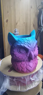 https://makerworld.bblmw.com/makerworld/model/1618039/1707627/ratings/2026-01-20_564e51bbde0e8.jpg
