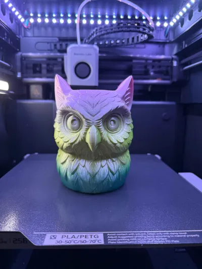 https://makerworld.bblmw.com/makerworld/model/1618039/1707627/ratings/56113e10-675f-11f0-970f-5394a52a29b3.jpg