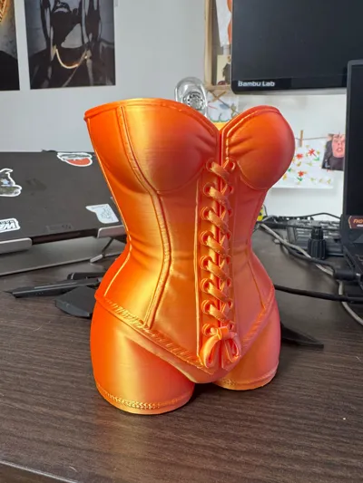 https://makerworld.bblmw.com/makerworld/model/1619002/1708718/ratings/150bf3d0-743c-11f0-a81b-07f3d3d4b8d1.jpg