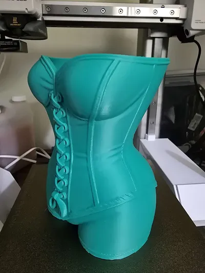 https://makerworld.bblmw.com/makerworld/model/1619002/1708718/ratings/51d79bd0-88b8-11f0-a472-7fea86548c42.jpg