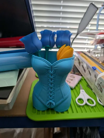 https://makerworld.bblmw.com/makerworld/model/1619002/1708718/ratings/6946b690-71fa-11f0-8e93-3368929bf5dc.jpg