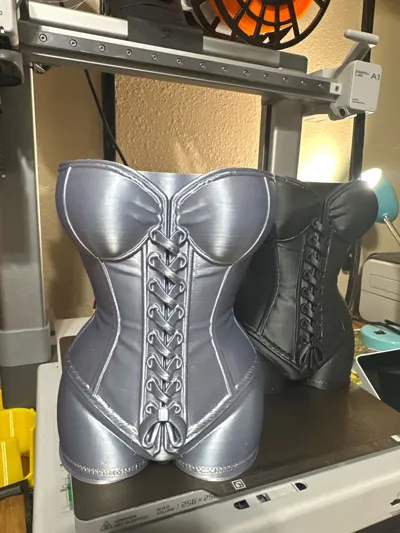 https://makerworld.bblmw.com/makerworld/model/1619002/1708718/ratings/73b44380-8402-11f0-befb-0f4d40621a70.jpg