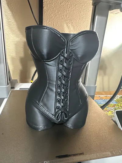 https://makerworld.bblmw.com/makerworld/model/1619002/1708718/ratings/73b63f50-8402-11f0-befb-0f4d40621a70.jpg