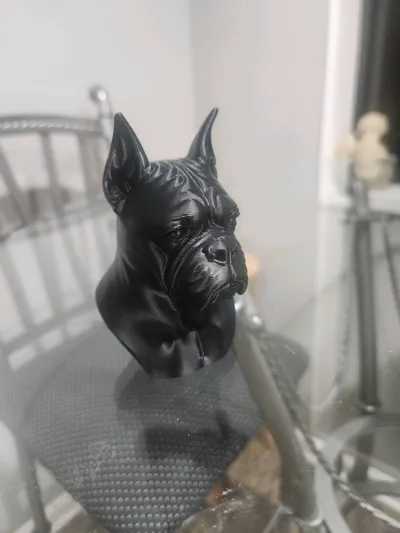 https://makerworld.bblmw.com/makerworld/model/1619293/1709082/ratings/346bac50-d7cb-11f0-bf36-cfe87caf9673.jpg