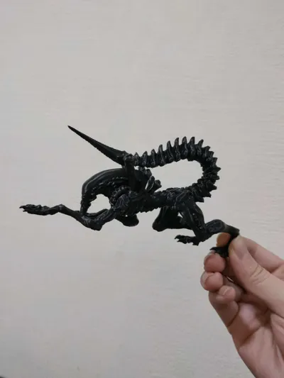 https://makerworld.bblmw.com/makerworld/model/1620074/1944718/ratings/09f5f0e0-bf05-11f0-b116-c30e26f1684f.jpg