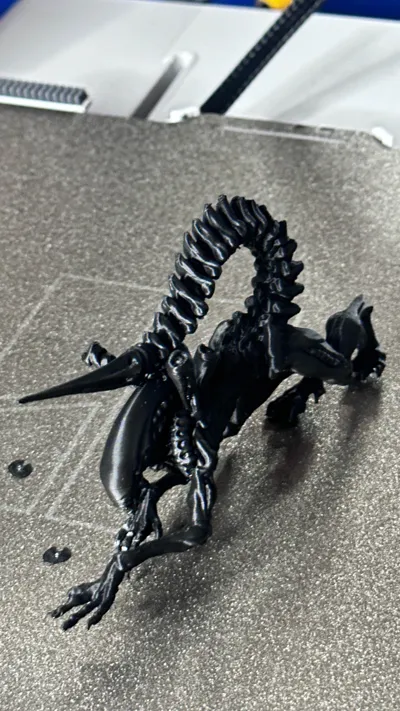 https://makerworld.bblmw.com/makerworld/model/1620074/1944747/ratings/1cb32f90-c423-11f0-8cbf-e32f194e4fda.jpg