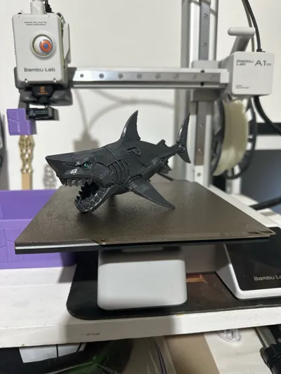 https://makerworld.bblmw.com/makerworld/model/1620227/1710204/ratings/1ac1c7b0-7251-11f0-9776-713b5660b85c.jpg