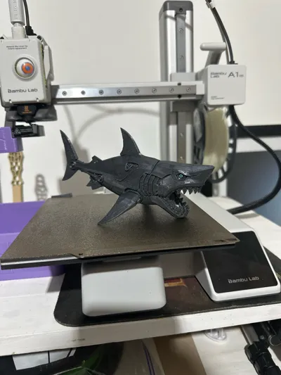https://makerworld.bblmw.com/makerworld/model/1620227/1710204/ratings/1ac3ea90-7251-11f0-9776-713b5660b85c.jpg