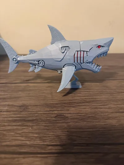 https://makerworld.bblmw.com/makerworld/model/1620227/1729732/ratings/0e0e8570-c0bd-11f0-9299-9b440c156e6c.jpg