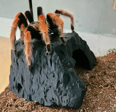 https://makerworld.bblmw.com/makerworld/model/1620383/1710383/ratings/ffe3b1c0-df2d-11f0-a963-63372f8b9631.jpg