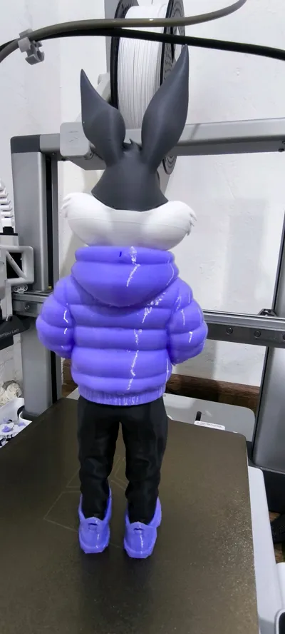 https://makerworld.bblmw.com/makerworld/model/1620469/1710471/ratings/d77c9e50-f9e9-11f0-8782-5d1985e106c4.jpg