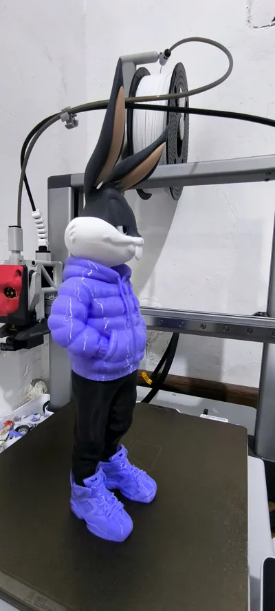 https://makerworld.bblmw.com/makerworld/model/1620469/1710471/ratings/d7813230-f9e9-11f0-8782-5d1985e106c4.jpg