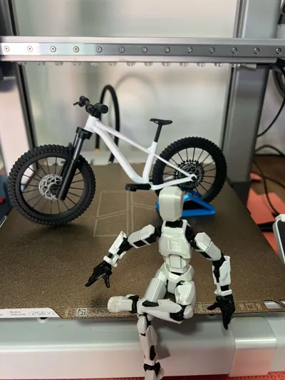 https://makerworld.bblmw.com/makerworld/model/1620594/1710602/ratings/3d96e490-89f4-11f0-b42e-d9e42181d4e1.jpg