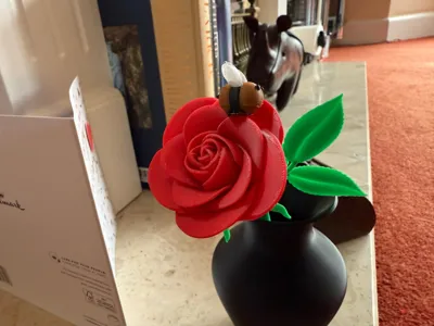 https://makerworld.bblmw.com/makerworld/model/1620608/1710615/ratings/e51133d0-6869-11f0-8e06-c5d6abced610.jpg