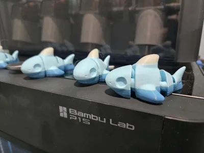 https://makerworld.bblmw.com/makerworld/model/1620849/1710917/ratings/03c01cc0-bbfc-11f0-bf3f-8db0b207fda6.jpg