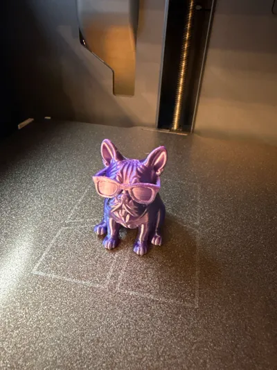 https://makerworld.bblmw.com/makerworld/model/1623927/2110050/ratings/1a54ca10-d6e3-11f0-969a-bf9b20028c57.jpg