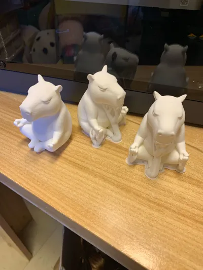 https://makerworld.bblmw.com/makerworld/model/1624977/1715645/ratings/4843c900-b98b-11f0-83fc-cd88e4b4ec60.jpg