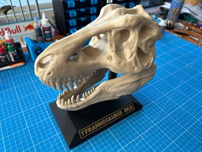 https://makerworld.bblmw.com/makerworld/model/1625156/1715841/ratings/1d184ca0-c6d9-11f0-a306-870df5c8b923.jpg