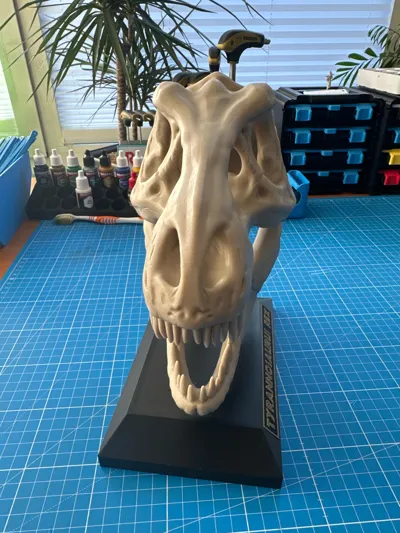 https://makerworld.bblmw.com/makerworld/model/1625156/1715841/ratings/1d496ec0-c6d9-11f0-a306-870df5c8b923.jpg
