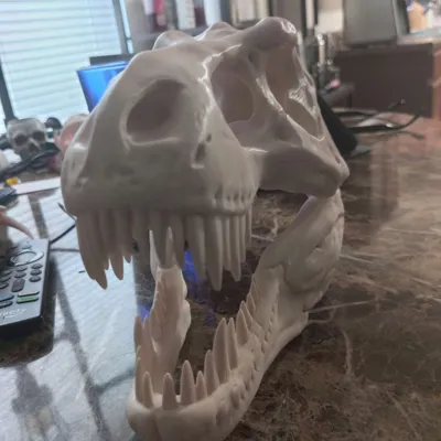 https://makerworld.bblmw.com/makerworld/model/1625156/1715841/ratings/e53617d0-6f36-11f0-8eee-4f81bee208ae.jpg