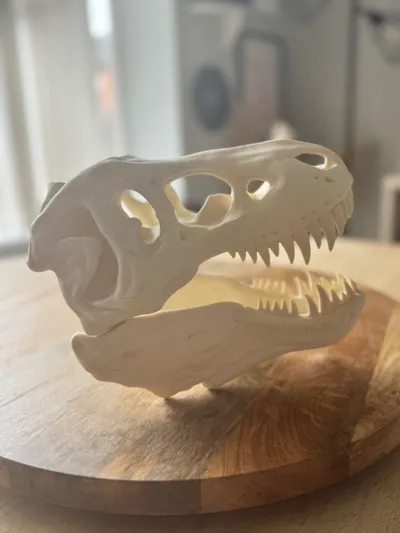 https://makerworld.bblmw.com/makerworld/model/1625156/1715841/ratings/f9c36f50-804c-11f0-bd26-cfa833839798.jpg