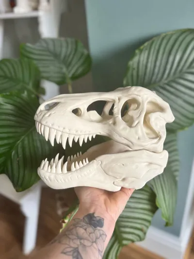 https://makerworld.bblmw.com/makerworld/model/1625156/1715841/ratings/f9c80330-804c-11f0-bd26-cfa833839798.jpg