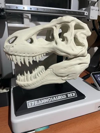 https://makerworld.bblmw.com/makerworld/model/1625156/1881747/ratings/4e525b00-aa49-11f0-a5b7-194645bc01f9.jpg