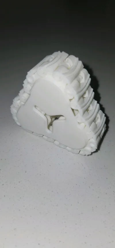 https://makerworld.bblmw.com/makerworld/model/1625751/1716541/ratings/e22f9f60-7f6d-11f0-9d6b-c9d6f13d8343.jpg