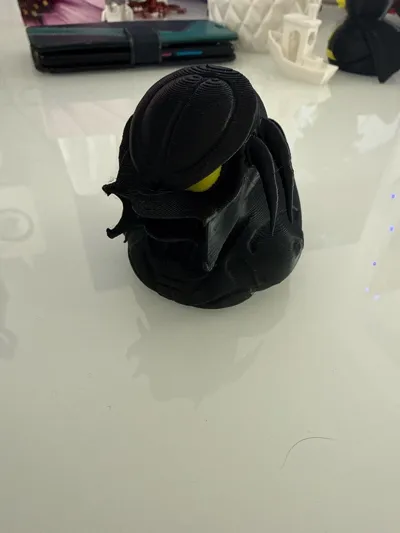 https://makerworld.bblmw.com/makerworld/model/1629180/1720435/ratings/99e473a0-f3c8-11f0-8475-cb3334114bd5.jpg