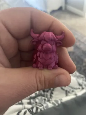 https://makerworld.bblmw.com/makerworld/model/1630202/1721705/ratings/b6e5c550-8125-11f0-a9b6-55dfc7019272.jpg