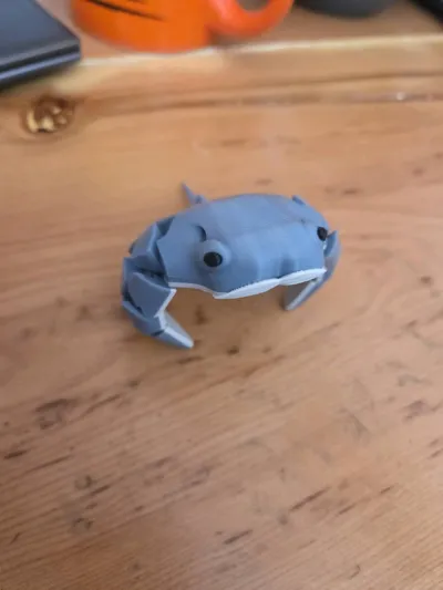 https://makerworld.bblmw.com/makerworld/model/1630346/1721885/ratings/9261a630-b821-11f0-867f-51c26894f820.jpg