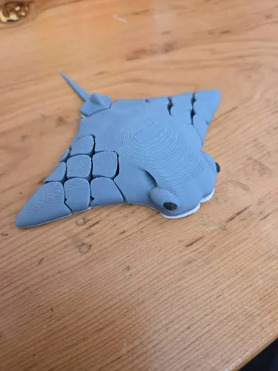 https://makerworld.bblmw.com/makerworld/model/1630346/1721885/ratings/9261cd40-b821-11f0-867f-51c26894f820.jpg