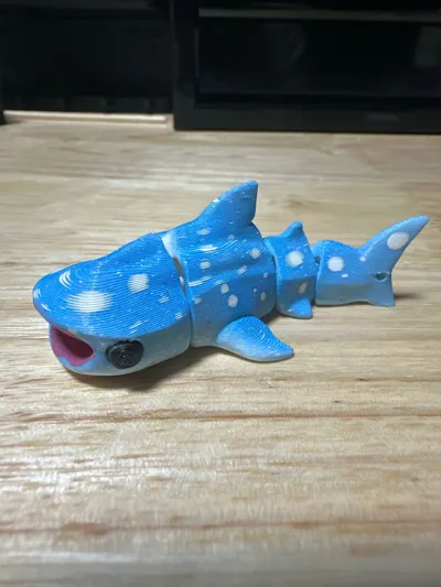 https://makerworld.bblmw.com/makerworld/model/1631060/1722739/ratings/87ac5e20-8107-11f0-a066-49af615315fb.jpg