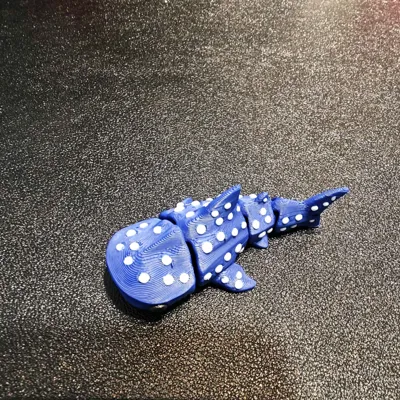https://makerworld.bblmw.com/makerworld/model/1631060/1722742/ratings/5587fde0-7bb8-11f0-8108-73e75f1d6123.jpg
