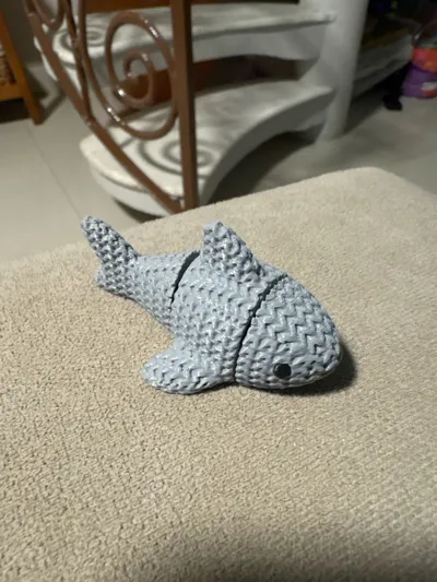 https://makerworld.bblmw.com/makerworld/model/1631784/1723558/ratings/315ddce0-693a-11f0-8b5e-01f179681aea.jpg