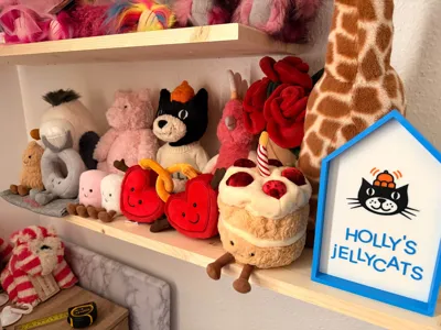 https://makerworld.bblmw.com/makerworld/model/1632980/1724875/ratings/c2dd25e0-8a82-11f0-ac9e-e1665e9aa0cf.jpg