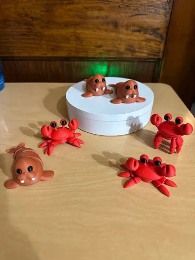 https://makerworld.bblmw.com/makerworld/model/1634037/1726074/ratings/ef8cc3f0-b26b-11f0-80b0-39c7bc2ba230.jpg