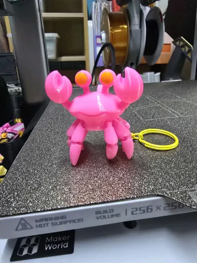 https://makerworld.bblmw.com/makerworld/model/1634037/1729006/ratings/b15c7f80-ebe6-11f0-bee7-0b443fac9eb1.jpg